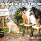 Hundeschule-im-Tierheim-kl