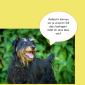 2014-09-23 22_01_04-Unsere Hunde helfen fleißig mit powerpoint (2).pptx [Schreibgeschützt] - Microso