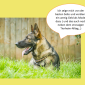 2014-09-23 22_01_17-Unsere Hunde helfen fleißig mit powerpoint (2).pptx [Schreibgeschützt] - Microso