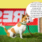 2014-09-23 22_01_34-Unsere Hunde helfen fleißig mit powerpoint (2).pptx [Schreibgeschützt] - Microso