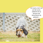 2014-09-23 22_03_58-Unsere Hunde helfen fleißig mit powerpoint (2).pptx [Schreibgeschützt] - Microso