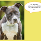 2014-09-23 22_04_06-Unsere Hunde helfen fleißig mit powerpoint (2).pptx [Schreibgeschützt] - Microso
