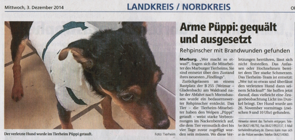 Oberhessische_Presse_3.12.2014