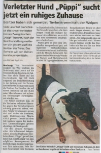 Oberhessische_Presse_4.12.2014
