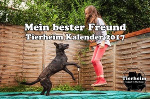 titel-tierheim-kalender-2017-foto-hemelp
