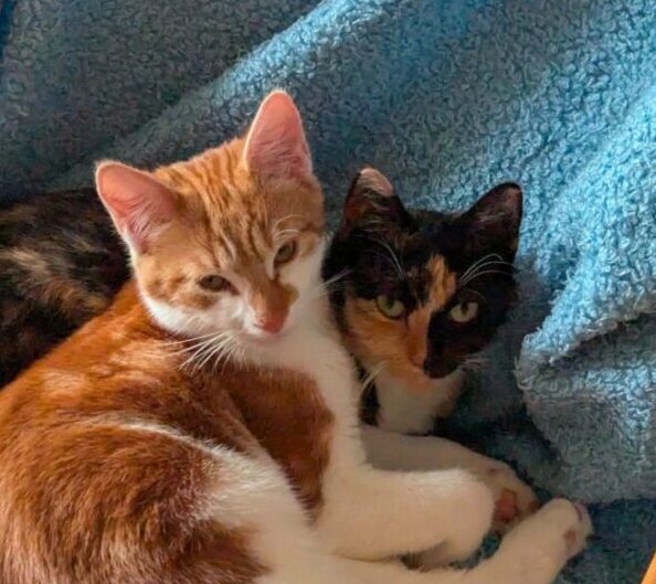 Flavia mit Aurelius – Tierheim Marburg